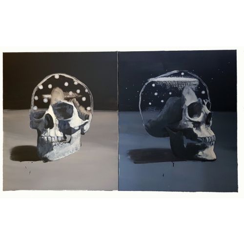 Cosmic Skulls